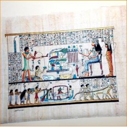 Papiro 30cmX25cm M19